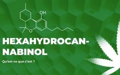 Le HHC : tout savoir sur la nouvelle molécule de cannabis