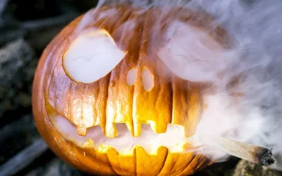 CBD et Halloween : Une alliance surprenante pour une fête effrayante